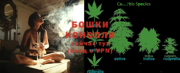 ПСИЛОЦИБИНОВЫЕ ГРИБЫ Балахна