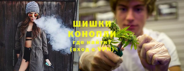ПСИЛОЦИБИНОВЫЕ ГРИБЫ Балахна