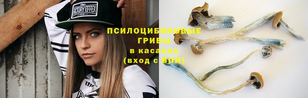 метадон Баксан