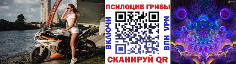 Галлюциногенные грибы мухоморы  Гай 