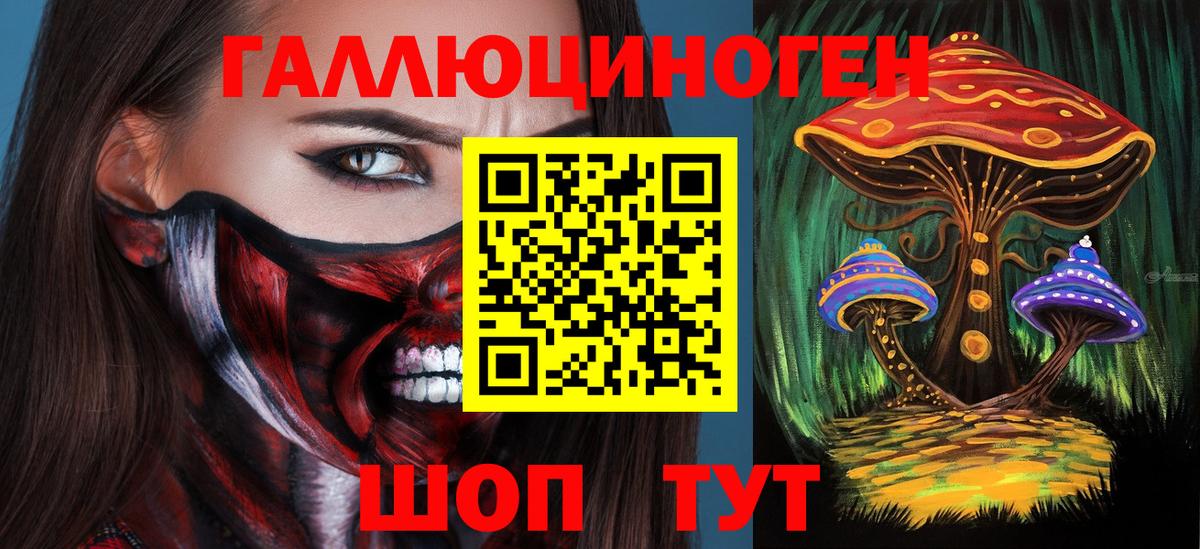 Гай  Псилоцибиновые грибы ЛСД  Вход с VPN 