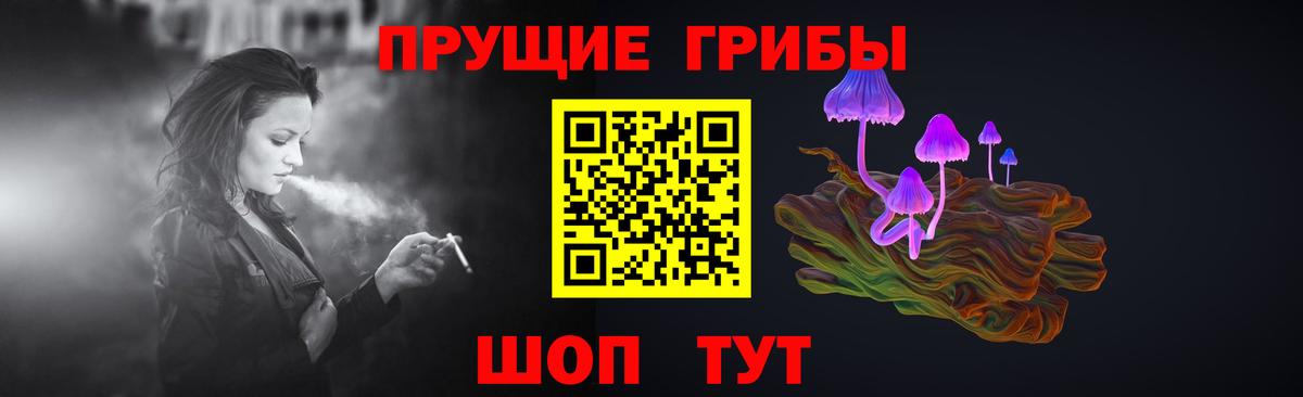 Псилоцибиновые грибы GOLDEN TEACHER Гай