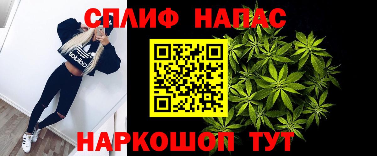 Каннабис AK-47 Гай